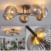 Chehalis Taklampa - Glas 10 cm, 12 cm, 15 cm Guld, Svart, 6-ljuskällor