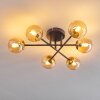 Chehalis Taklampa - Glas 10 cm Guld, Svart, 6-ljuskällor