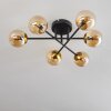 Chehalis Taklampa - Glas 10 cm Guld, Svart, 6-ljuskällor