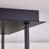 Chehalis Taklampa - Glas 10 cm Guld, Svart, 5-ljuskällor