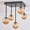 Chehalis Taklampa - Glas 10 cm Guld, Svart, 5-ljuskällor