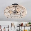 Brandala Taklampa 40 cm Svart, 3-ljuskällor