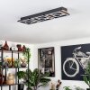Taboneira Taklampa LED Naturfärger, Svart, 3-ljuskällor