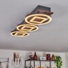 Taboneira Taklampa LED Mörkbrun, Svart, 3-ljuskällor
