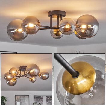 Chehalis Taklampa - Glas 10 cm, 12 cm, 15 cm Guld, Svart, 6-ljuskällor