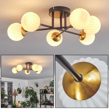 Chehalis Taklampa - Glas 10 cm Guld, Svart, 6-ljuskällor