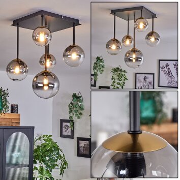 Chehalis Taklampa - Glas 10 cm, 12 cm, 15 cm Guld, Svart, 5-ljuskällor