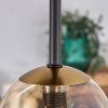 Chehalis Taklampa - Glas 10 cm, 12 cm, 15 cm Guld, Svart, 5-ljuskällor