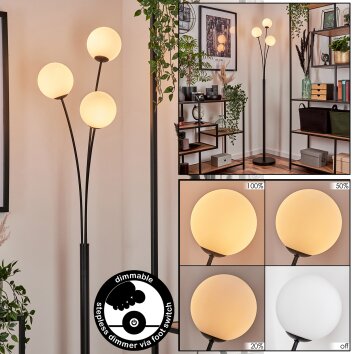 Bernado Golvlampa - Glas 12 cm Vit, 3-ljuskällor