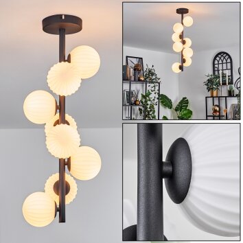 Chehalis Taklampa - Glas 10 cm Vit, 8-ljuskällor