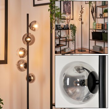 Remaisnil Golvlampa - Glas 10 cm, 12 cm Klart, Rökfärger, 5-ljuskällor Remaisnil Golvlampa - Glas 10 cm, 12 cm Klart, Rökfärger, 5-ljuskällor