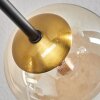 Chehalis Taklampa - Glas 10 cm, 12 cm, 15 cm Guld, Svart, 6-ljuskällor