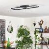 Silla Taklampa LED Svart, 1-ljuskällor