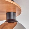 Koyoto Taklampa - Glas 15 cm Naturfärger, Svart, 5-ljuskällor