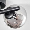 Chehalis Taklampa - Glas 10 cm, 12 cm Svart, 2-ljuskällor
