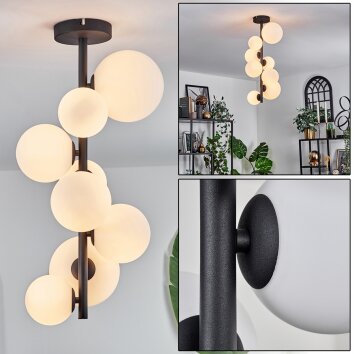 Chehalis Taklampa - Glas 10 cm, 12 cm, 15 cm Vit, 8-ljuskällor