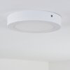 Leto Taklampa för utomhusbruk, Taklampa LED Vit, 1-ljuskällor