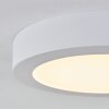 Leto Taklampa för utomhusbruk, Taklampa LED Vit, 1-ljuskällor