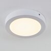 Leto Taklampa för utomhusbruk, Taklampa LED Vit, 1-ljuskällor