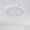 Leto Taklampa LED Vit, 1-ljuskällor