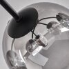 Chehalis Taklampa - Glas 15 cm Klart, Rökfärger, 6-ljuskällor