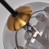 Chehalis Taklampa - Glas 12 cm, 15 cm Guld, Svart, 6-ljuskällor