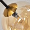 Chehalis Taklampa - Glas 15 cm Guld, Svart, 6-ljuskällor