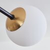 Chehalis Taklampa - Glas 10 cm Guld, Svart, 8-ljuskällor