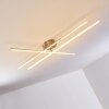 Tornio Taklampa LED Nickel matt, 3-ljuskällor