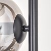 Gastor Golvlampa - Glas 15 cm Klart, Rökfärger, 4-ljuskällor