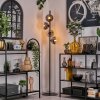 Gastor Golvlampa - Glas 15 cm Klart, Rökfärger, 4-ljuskällor