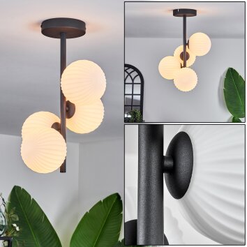 Chehalis Taklampa - Glas 12 cm Vit, 4-ljuskällor