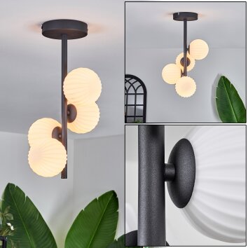 Chehalis Taklampa - Glas 10 cm Vit, 4-ljuskällor