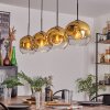 Ripoll Pendellampa - Glas 25 cm Guld, Klart, 4-ljuskällor