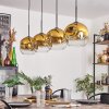 Ripoll Pendellampa - Glas 25 cm Guld, Klart, 4-ljuskällor