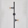 Gastor Golvlampa 31 cm Klart, 3-ljuskällor