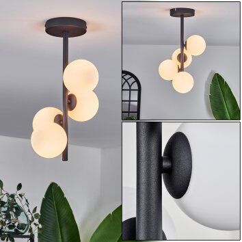 Chehalis Taklampa - Glas 10 cm Vit, 4-ljuskällor