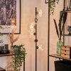 Remaisnil Golvlampa - Glas 15 cm Klart, 6-ljuskällor