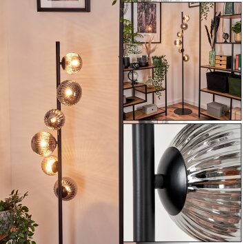 Remaisnil Golvlampa - Glas 10 cm, 12 cm Rökfärger, 6-ljuskällor Remaisnil Golvlampa - Glas 10 cm, 12 cm Rökfärger, 6-ljuskällor