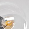 Gastor Taklampa - Glas 15 cm Amber, Klart, Rökfärger, 6-ljuskällor