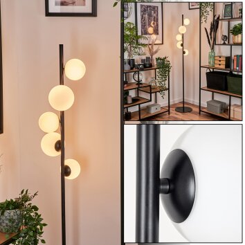 Remaisnil Golvlampa - Glas 10 cm, 12 cm Vit, 5-ljuskällor Remaisnil Golvlampa - Glas 10 cm, 12 cm Vit, 5-ljuskällor