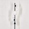 Remaisnil Golvlampa - Glas 10 cm, 12 cm, 15 cm Vit, 6-ljuskällor