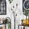 Gastor Golvlampa - Glas 15 cm Klart, 5-ljuskällor