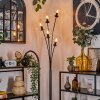 Gastor Golvlampa - Glas 15 cm Klart, 5-ljuskällor