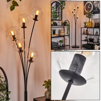 Gastor Golvlampa - Glas 15 cm Klart, 5-ljuskällor Gastor Golvlampa - Glas 15 cm Klart, 5-ljuskällor