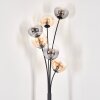 Gastor Golvlampa - Glas 15 cm Amber, Klart, Rökfärger, 6-ljuskällor