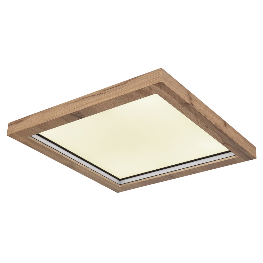 Globo BRANZA Taklampa LED Svart, 1-ljuskällor, Fjärrkontroll main product photo