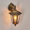 Loria vägglampa utomhus Guld, Svart, 1-ljuskällor