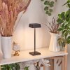 Algeraz Bordslampa LED Svart, 1-ljuskällor