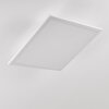 Barasat Taklampa, Panel LED Vit, 1-ljuskällor